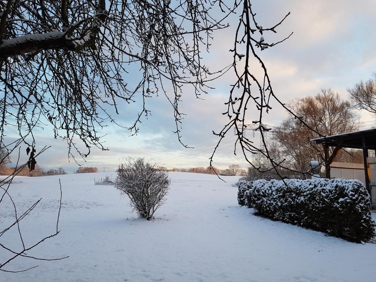 Landpension Zum Schweizerberg Neugrimnitz Exteriör bild