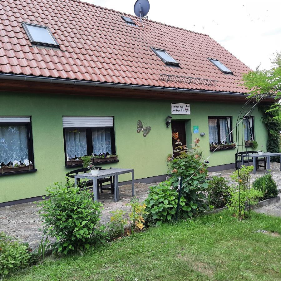 Landpension Zum Schweizerberg Neugrimnitz Exteriör bild