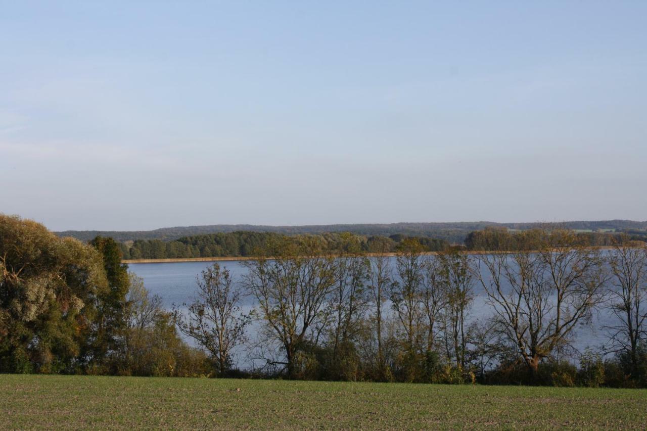 Landpension Zum Schweizerberg Neugrimnitz Exteriör bild