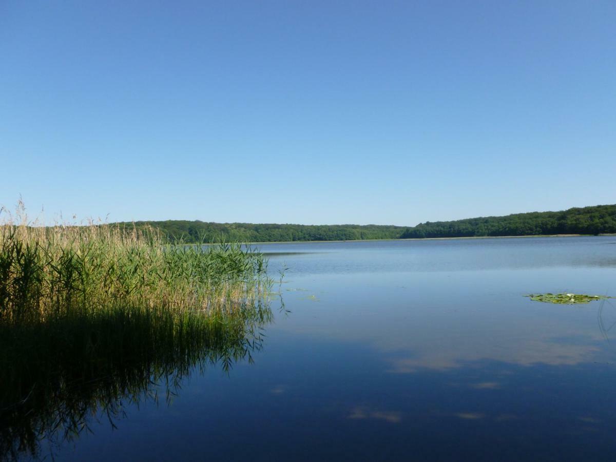Landpension Zum Schweizerberg Neugrimnitz Exteriör bild