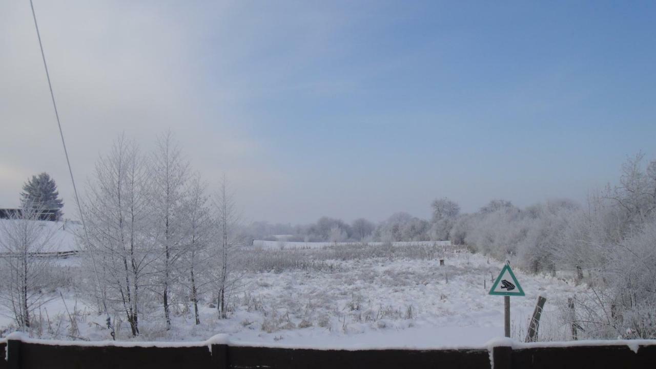 Landpension Zum Schweizerberg Neugrimnitz Exteriör bild