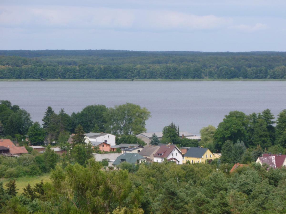 Landpension Zum Schweizerberg Neugrimnitz Exteriör bild