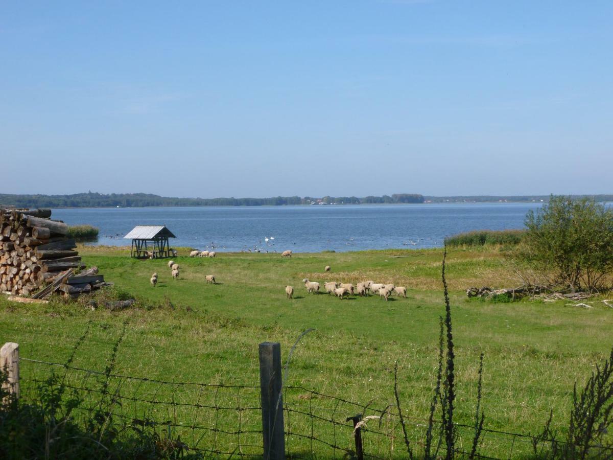 Landpension Zum Schweizerberg Neugrimnitz Exteriör bild